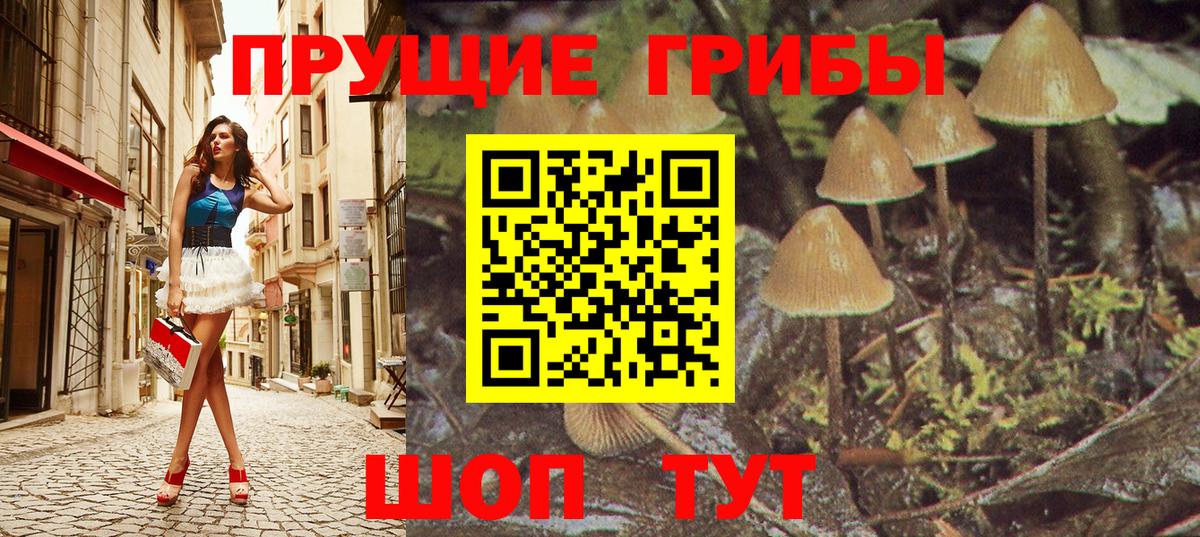 Ачхой-Мартан  Галлюциногенные грибы Psilocybe  Вход с VPN  Псилоцибиновые грибы прущие грибы 