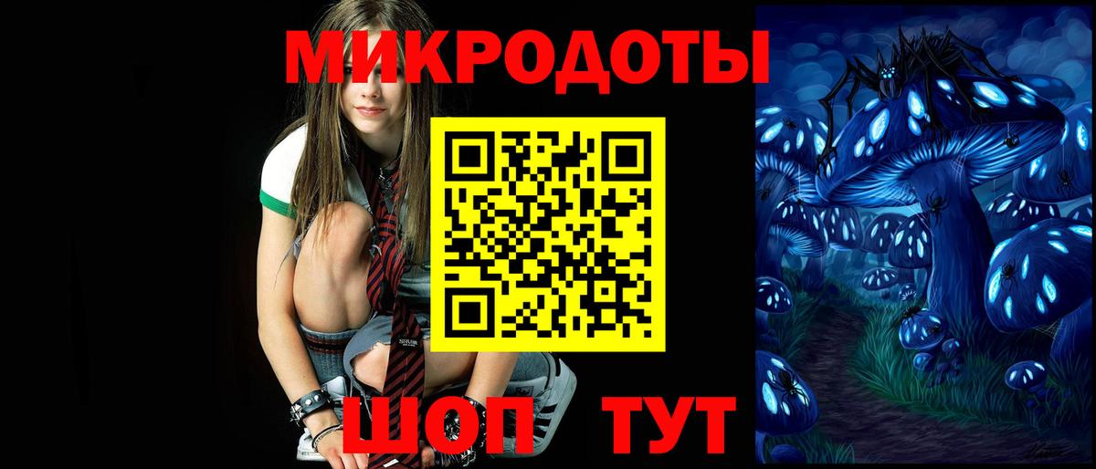 Галлюциногенные грибы Psilocybine cubensis Ачхой-Мартан